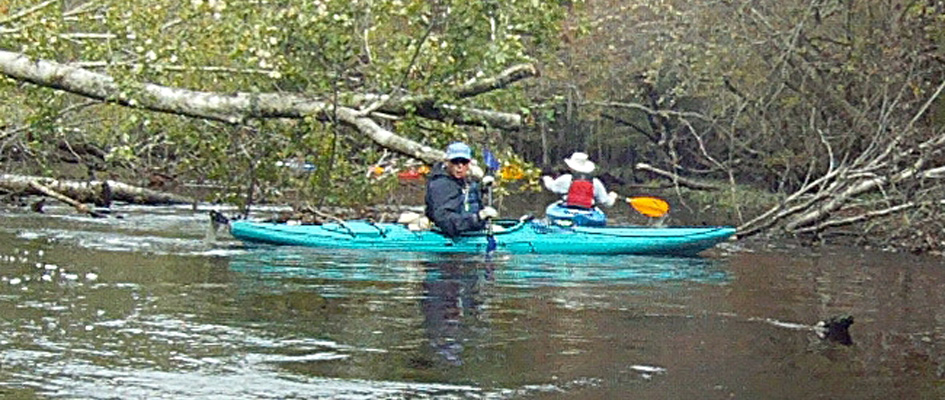 Guided kayak tour
